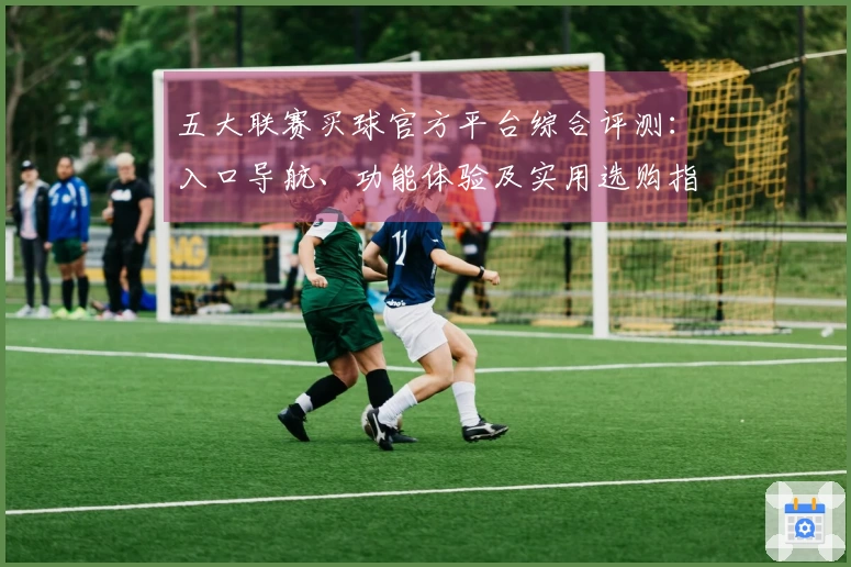 五大联赛买球官方平台综合评测：入口导航、功能体验及实用选购指南