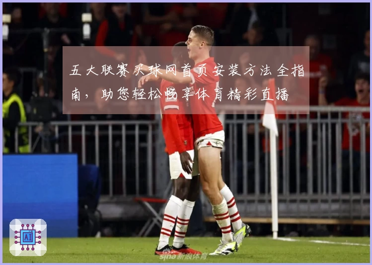 五大联赛买球网首页安装方法全指南，助您轻松畅享体育精彩直播